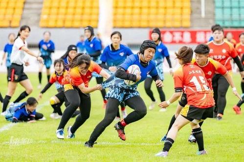 橄榄球协会爆料视频,揭秘橄榄球运动背后的精彩瞬间  第3张