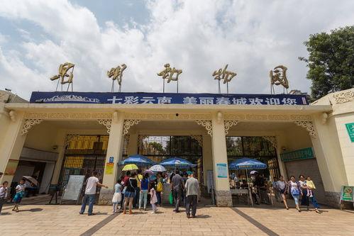 央视爆料昆明动物园视频,动物生活状况引关注 第2张 央视爆料昆明动物园视频,动物生活状况引关注 第2张