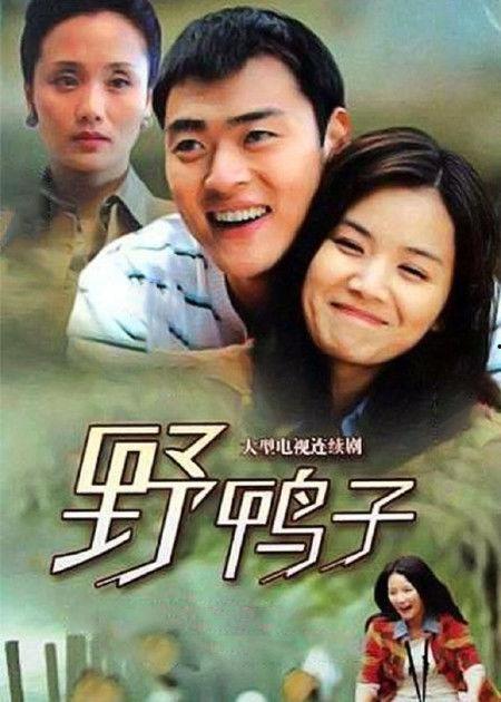 野鸭子第二部全集在线观看,感人至深的亲情与成长之旅  第2张