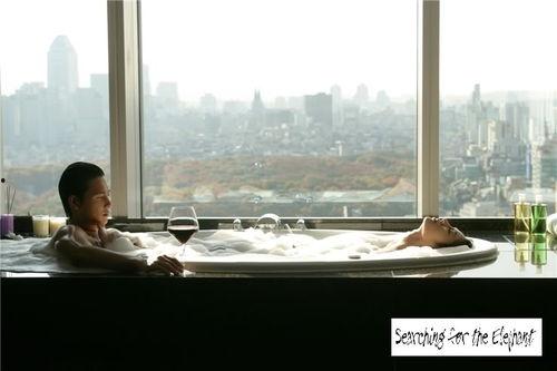 阁楼大象在线观看  第2张