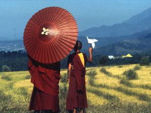 高山上的世界杯在线观看  第3张