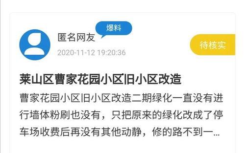今日爆料台小程序叫什么,揭秘幕后真相，探寻网络舆论新动向  第2张